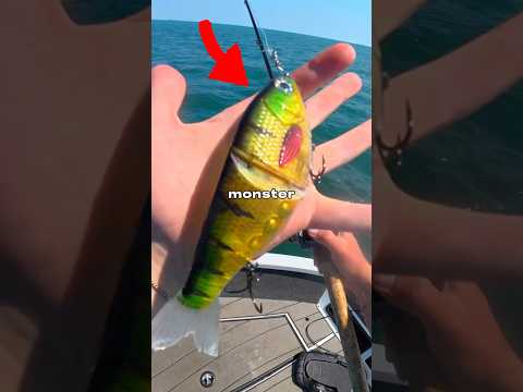I Caught a MONSTER 🐟🎣