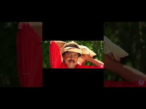 ആടു തോമയുടെ അനിയൻ കോഴി പ്രകാശൻ #subscribe #comedy #funny #dileep