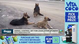 YouTube video thumbnail: Animal Control Set For Legislative Upgrade