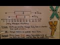 Box Plot Analysis and Interpretation