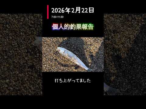 報告用ショート 2026/2/22 今年初のサーフ イワシが入ってるようだが‥ #秋田 #釣り