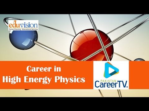 Career in High Energy Physics