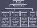 Hospital Organizational Structure and Services