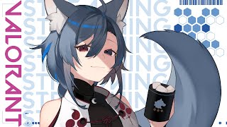 | VALORANT | ブロンズ2【Vtuber】