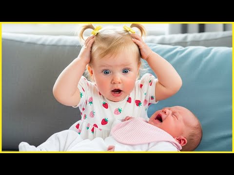Most ICONIC Baby vs Sibling Moments Ever Captured on Camera