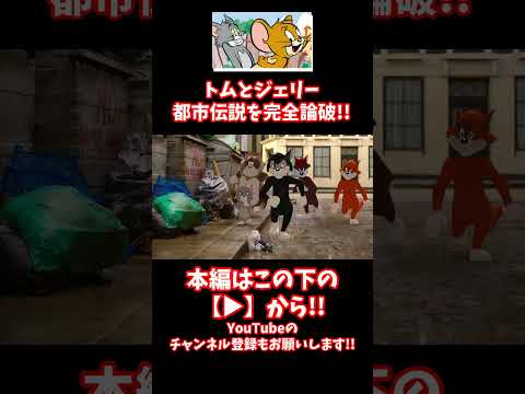 【閲覧注意】トムとジェリーのすごく切ない都市伝説に全力で反論してみた #トムとジェリー #都市伝説【creepypasta】【アニメ】