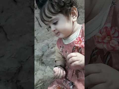 just looking like a WOW 😍😻 #childfun #ytshorts #cute