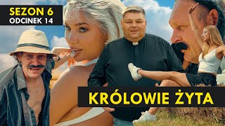 KRÓLOWIE ŻYTA Sezon 6 odc. 14 I Żniwa 2025