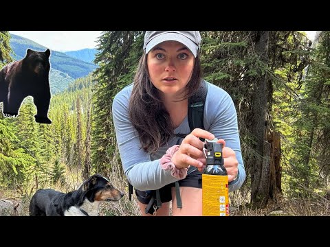 Alone With Bears at My Remote Cabin