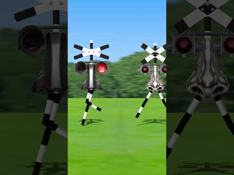 途中道を誤ってしまう鼻踏切 #Shorts