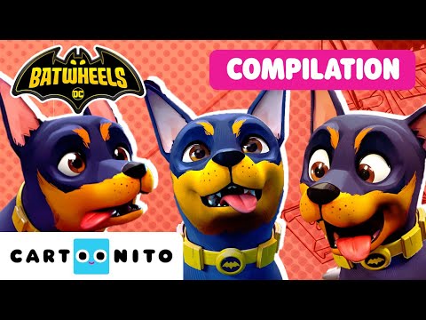 🐕 TOP 7 🐕 Best Pets Moments |  Batwheels | Cartoon For Kids| Cartoonito