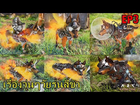 ARK EXTINCTION ASCENDED EP#3 เรื่องวุ่นๆวัยรุ่นสี่ขา