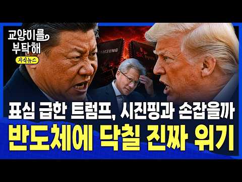 [지식뉴스] "표심 급한 트럼프" 결국 시진핑과 손잡을까...미중 패권 전쟁 속 반도체에 닥칠 진짜 위기 / 교양이를 부탁해