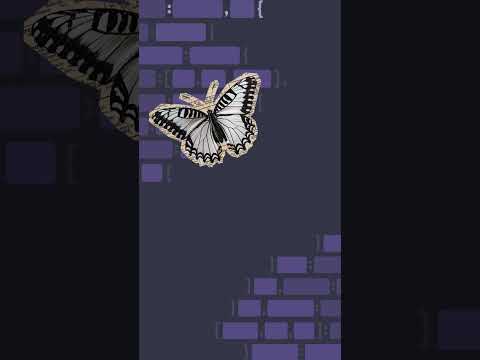 Have you ever wondered why we call it a bug?