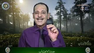  لبان الذكر فوائد كبيره ( اللبان ). مــع خـبـيـر الاعشاب حسن خليفه . رحمه الله تعالى وغفر له .