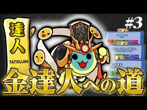 【20:30～段位特攻】まずは金枠合格を目指そう【太鼓の達人ニジイロ Ver. 段位道場2024】金達人への道 #3