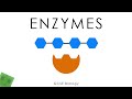 Understanding Glucose, Enzymes, and Reaction Conditions