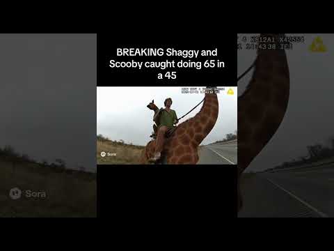 Scooby and Shaggy were just caught doing this 🚨