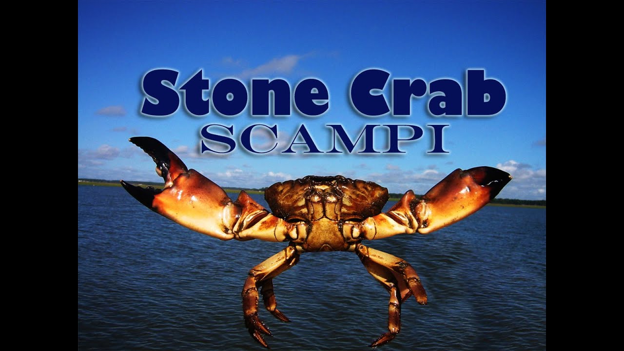 Stone Crab Scampi! Custom Boat Shootout 2015: Tasty Tuesday 19