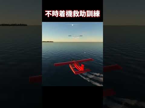 不時着機救助訓練　不時着機役：LIBRAさん