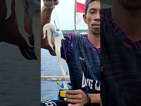 Kepala Cumi dapat IKAN BESAR 🦑 #fishing #umpan #mancing #viral #fish #reels #fyp #fypシ