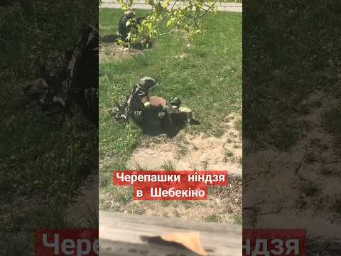 Військові вже в #Шебекино