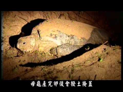 【生物的磁導航系統】國立科學工藝博物館－奈米科技影片 - YouTube(49秒)