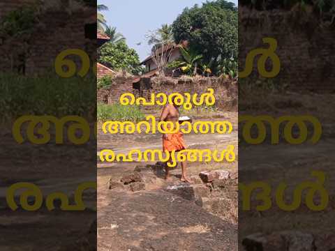 മാംസഭുക്ക് എങ്ങനെ വെജിറ്റേറിയനായി #crocodile #ananthapuram #kasaragod #shorts