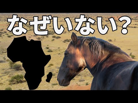 なぜアフリカにウマがいないのか？【解説動画】