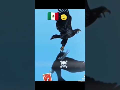 20 de mayo de 2025