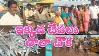 పది చేపలు 22వేలు . అంతర్వేది లో చేపలు చాలా చవక