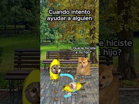 Cuando intento ayudar a alguien #historiasdegatos #storytime #cats #gatitos #funnyvideo #michis