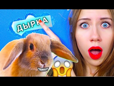 КРОЛИК СЪЕЛ КОВЕР ! ЧТО ТО ПОШЛО НЕ ТАК - КРОЛИК ПЕРЕЕЗЖАЕТ | Elli Di Pets