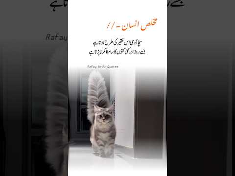 Urdu Islamic Quotes Motivational #shorts #poetry #shayari