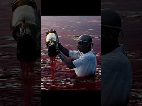 😱 Plague Unleashed – Frogs, Flies and Viral Terror 💀🔥