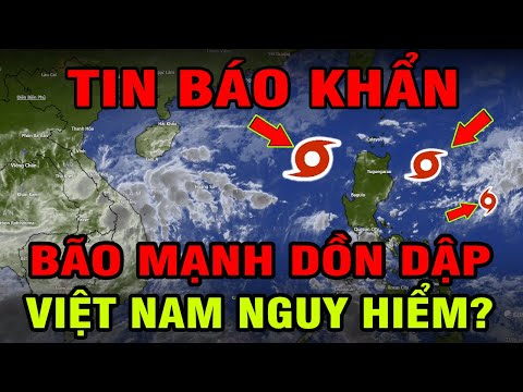 CHẤN ĐỘNG! BÃO SỐ 13, 14, 15 XUẤT HIỆN LIÊN HOÀN VIỆT NAM SẴN SÀNG ỨNG PHÓ