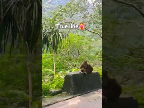 True line #trustongod #motivation #love