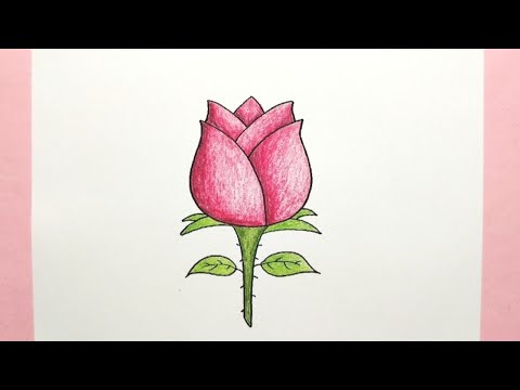 Cara menggambar bunga mawar - How to draw a rose step by step