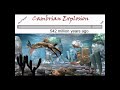 Geologic Time and Major Events