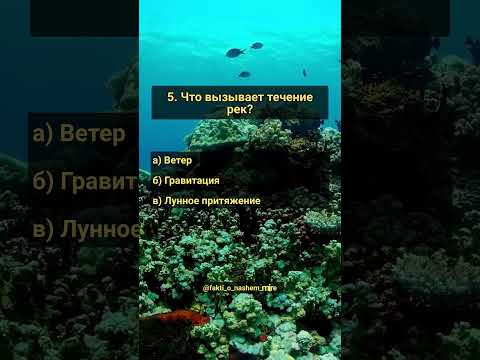 Викторина о природе: Вода. Часть 4. Тест на знание водных фактов! #угадай #знания #вода #ток #реки