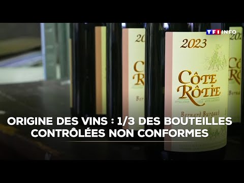 Origine des vins : un tiers des bouteilles contrôlées non conformes｜TF1 INFO