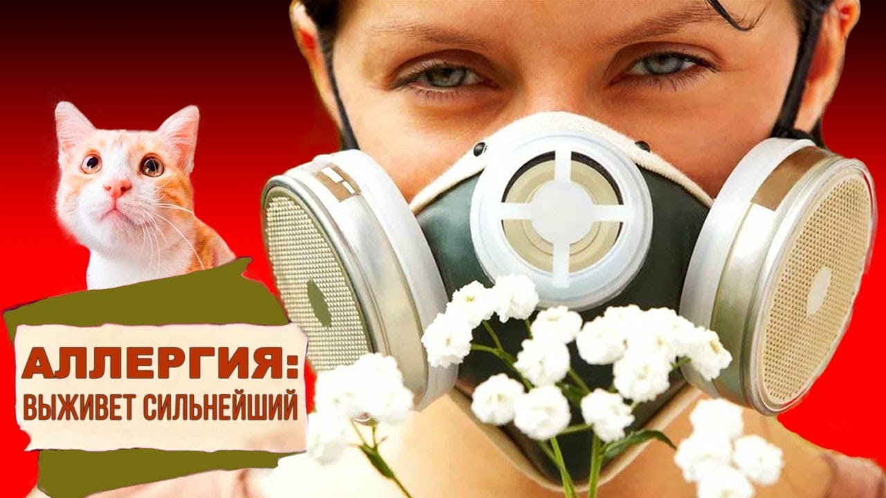 Аллергия: выживет сильнейший