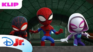 Film-monstret | Spidey og hans fantastiske venner | Disney Junior Danmark