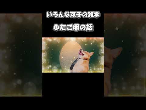 猫いろんな双子の雑学 ふたご卵の話ショート