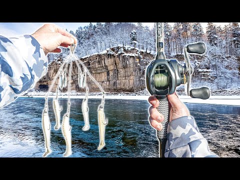 Chasing After GIANT Fish In The EXTREME Cold (Big Bites)