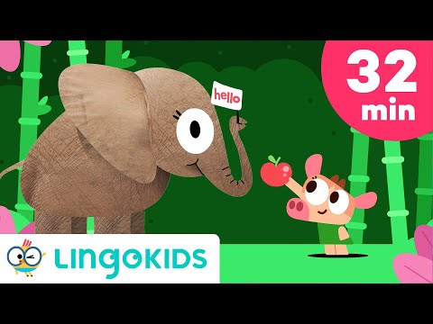 Animal Songs for Kids 🎵 Cowy has an Elephant 🐘💗 | Lingokids