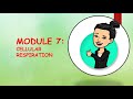 Cellular Respiration Concepts Assessment