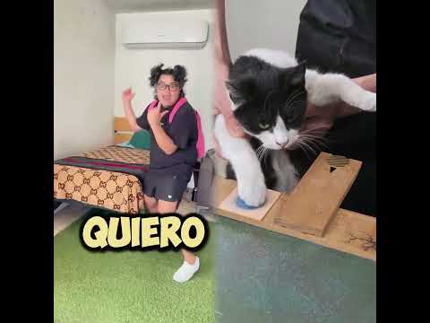 CUANDO NO QUIERES IR A LA ESCUELA 😂 #shorts