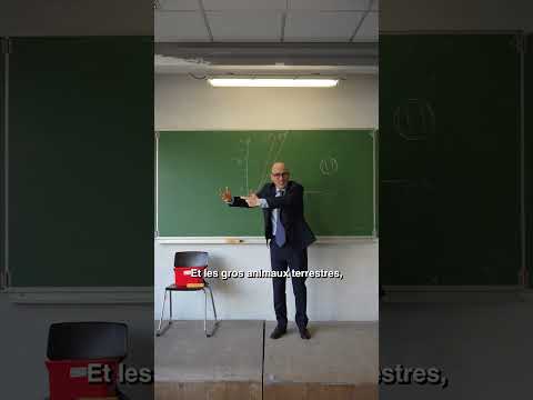 Pourquoi les éléphants ont des grosse pattes ?