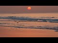 Викторина за видео урока